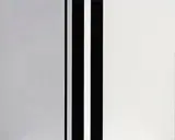 Gordon Walters, Untitled