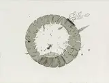 Seung Yul Oh, Untitled