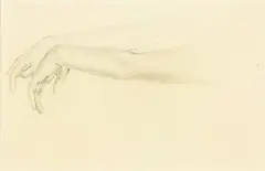Anatomical Study of Two Arms by Anna Lois White, graphite on paper, offered Oct 2013