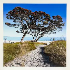 Peter Latham, Summertime, inkjet print on canvas, 25/150