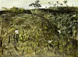 Garth Tapper, The Burnt Off Land, acrylic and oil on board