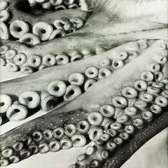 Octopus by Peter Peryer, gelatin silver print, sold Aug 2013