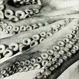 Peter Peryer, Octopus