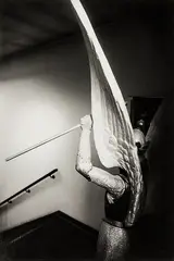 Anne Noble, In the Presence of Angels, portfolio of twelve selenium-toned gelatin silver prints in original solander box and with original cover sheets, in an edition of ten