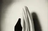 Anne Noble, The white veil of a novice "Our habit signifies complete detachment from the things of this world" (M. Foundress 1902)