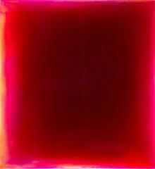 Untitled by Leigh Martin, pigment and resin on canvas, offered Aug 2013