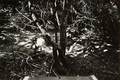 Untitled by Laurence Aberhart, gelatin silver print, offered Jul 2013