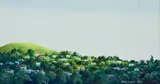 Peter Siddell, Untitled – A Suburban View of Mount Eden