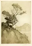Constance Alice Lloyd, Evening Light, etching