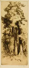 Kauri Trees by Trevor Lloyd, etching, sold Jul 2013
