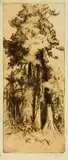 Trevor Lloyd, Kauri Trees, etching