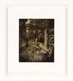 Ben Cauchi, Acanthus