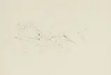 Ray Ching, Untitled (Reclining Nude), pencil on paper