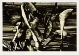 Judy Millar, Untitled, digital print, 1/60