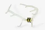 Steve Carr, Antler, hand-blown scientific glass, foam, brass (2008)