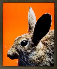 Michael Parekōwhai, Larry Vickers, type C print, edition of 10 (2000)