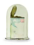 Brendan Wilkinson, Untitled, mixed media and found object