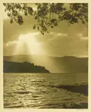 George Chance, Evening Glory