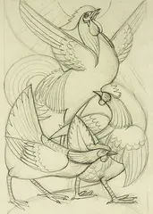 Cockerel Study by Anna Lois White, pencil drawing, sold Mar 2013