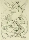 Anna Lois White, Cockerel Study, pencil drawing