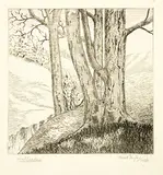 Ernest Mervyn Taylor, Hillside, wood engraving