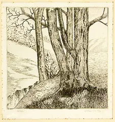Hillside by Ernest Mervyn Taylor, wood engraving, offered Mar 2013