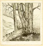 Ernest Mervyn Taylor, Hillside, wood engraving