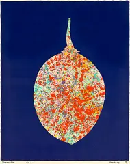 Tamarillo by Pat Hanly, screenprint, 3/14, sold Mar 2013