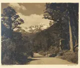 George Chance, Autumn in South Canterbury