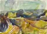 Harley Road, Tasman by Toss Woollaston, watercolour, offered Nov 2012