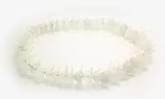 Emily Siddell, Starlight Lei, Glass