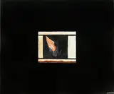 Shane Cotton, Whakakitenga III, oil on canvas