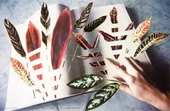 Megan Jenkinson, Philosophia: Trying to Find the Reason in the Codex - Naturae 1, cibachrome print with collage element