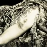 Arms II by Fiona Pardington, sepia-toned gelatin silver print, sold Sep 2012