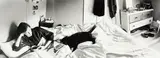 Marie Shannon, The Pursuit of Cosiness