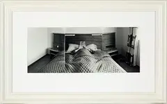 A Tiger in Bed by Marie Shannon, three gelatin silver prints mounted together, 1/20, sold Sep 2012