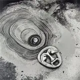 Theodorus Johannes Schoon, Waiotapu Mud Pool Study