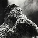 Theodorus Johannes Schoon, Untitled - Study of a Thermal Stalagmite