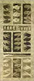 Shona Rapira Davies, Hand Work II, indian ink on unstretched jute