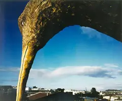 Geoff Short, Kiwi Bacon No. 7, cibachrome print