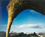 Geoff Short, Kiwi Bacon No. 7, cibachrome print
