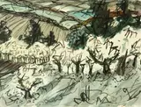 Douglas MacDiarmid, Canterbury Spring