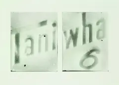 Taniwha by Fiona Pardington, gelatin silver prints, diptych (1995), sold Aug 2012
