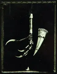 Huia Beak and Claw Jewellery by Fiona Pardington, gelatin silver hand-print, artist's proof, sold Aug 2012