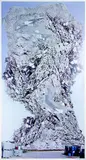 Jae Hoon Lee, Residue