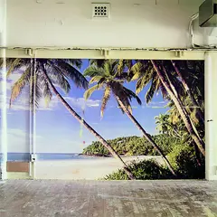 Palms by Sam Hartnett, chromira print (2006), offered Aug 2012