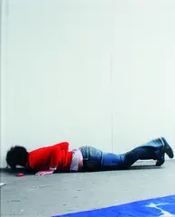 Fall from Handstand (1) by Alicia Frankovich, lambda print, edition of 5 (2006), sold Aug 2012