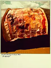 Ian MacDonald, The Whale Stranding at Muriwai Beach, type C print