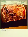 Ian MacDonald, The Whale Stranding at Muriwai Beach, type C print