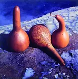 Theodorus Johannes Schoon, The Three Gourds